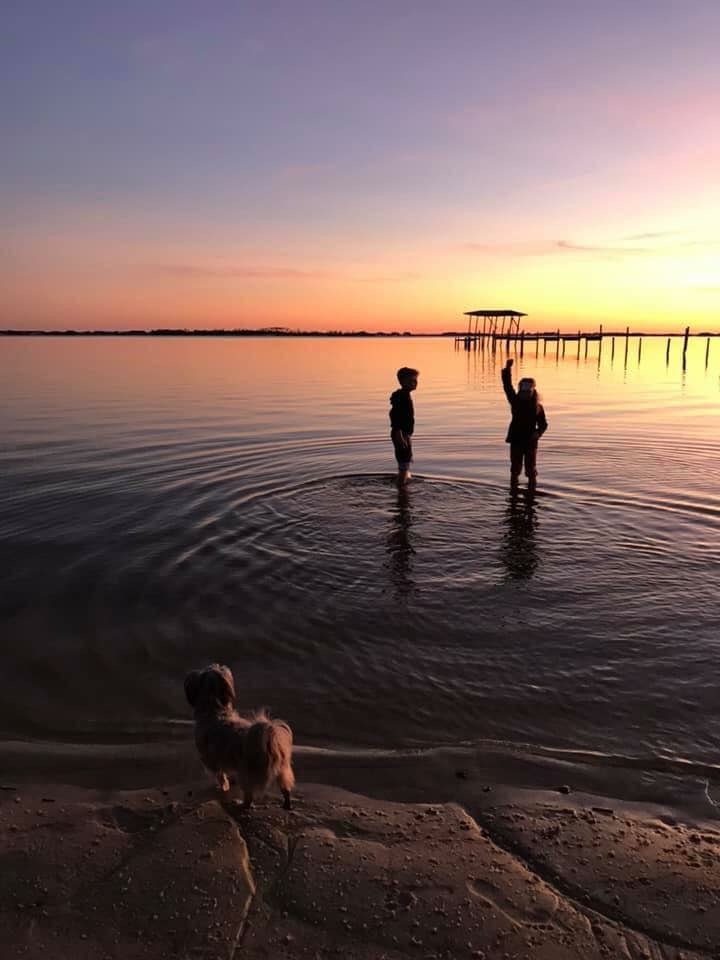 Pet-friendly beach at sunset